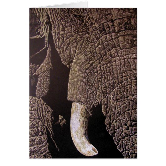 Bull Elephant (Vorne)