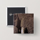 Bull Elephant Button (Vorne & Hinten)