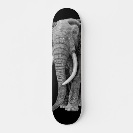 Bull elephant - Drawing in pencil Skateboard (Vorne)