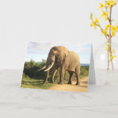 Bull Elephant Grußkarte Karte (Gelbe Blume)