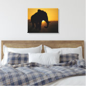 Bull Elephant Leinwanddruck (Insitu (Schlafzimmer))