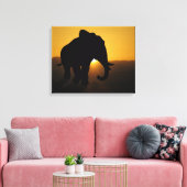 Bull Elephant Leinwanddruck (Insitu (Wohnzimmer))