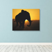 Bull Elephant Leinwanddruck (Insitu (Holzboden))