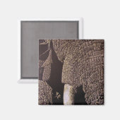 Bull Elephant Magnet (Vorderseite/Rückseite)