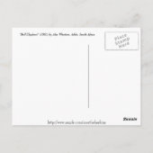 Bull Elephant Postcard Postkarte (Rückseite)