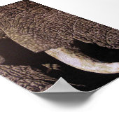 Bull Elephant Poster (Ecke)