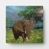 Bull Elephant Weizing, Fotoplatte (Vorderseite)