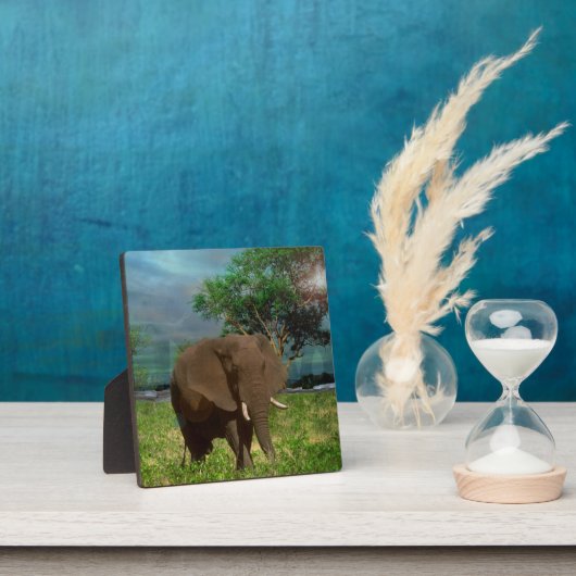 Bull Elephant Weizing, Fotoplatte (InSitu)