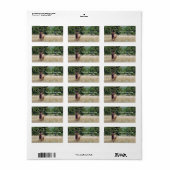 Bull Elk Address Label Adressaufkleber (Vorne)