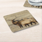 Bull Elk Brother Bulls Rechteckiger Pappuntersetzer (angewinkelt)