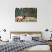 Bull Elk Bugling in den Tetons Leinwanddruck (Insitu (Schlafzimmer))