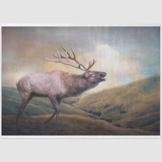 Bull Elk Bugling Wildlife Decoupage Seidenpapier (Vorderseite)