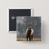 Bull Elk bugling, Yellowstone NP, Wyoming 2 Button (Vorne & Hinten)