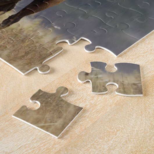 Bull Elk bugling, Yellowstone NP, Wyoming 2 Puzzle (Seite)