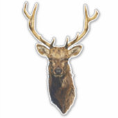 Bull Elk Head Tierart Wildtiere Aufkleber (Vorderseite)