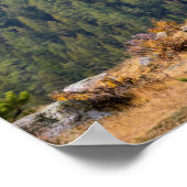 Bull Elk im Rocky Mountain National Park Foto Poster (Ecke)