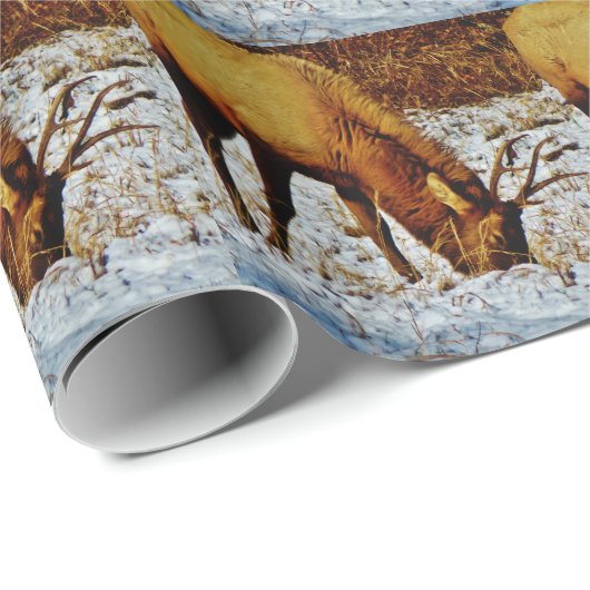 Bull Elk im Schnee. Geschenkpapier (Rolleneckpunkt)
