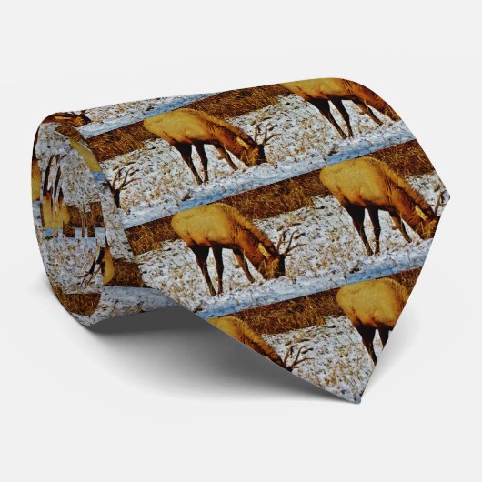 Bull Elk im Schnee. Krawatte (Gerollt)