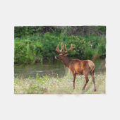 Bull Elk in der National Bison Range, Montana Fleecedecke (Vorderseite (Horizontal))