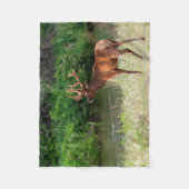 Bull Elk in der National Bison Range, Montana Fleecedecke (Vorderseite)