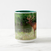 Bull Elk in der National Bison Range, Montana Tasse (Zentrum)