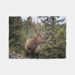 Bull Elk in Jasper Fleecedecke