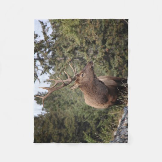 Bull Elk in Jasper Fleecedecke (Vorderseite)