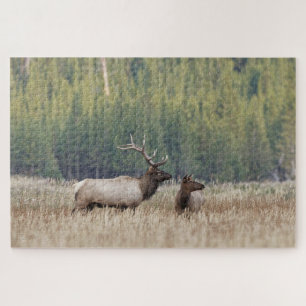 Bull Elk in Meadow Yellowstone National Park Puzzle