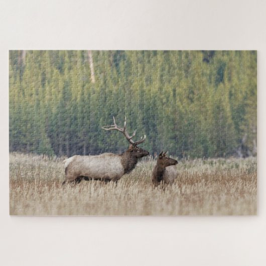 Bull Elk in Meadow | Yellowstone-Nationalpark Puzzle (Horizontal)