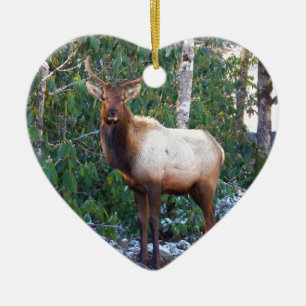 Bull Elk in Rhododendren Keramikornament