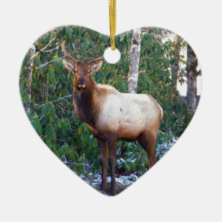Bull Elk in Rhododendren Keramikornament