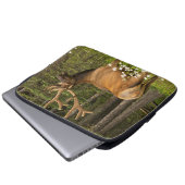 Bull elk in samvet, Kanada Laptopschutzhülle (Vorne Knopf)