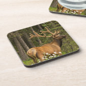 Bull elk in samvet, Kanada Untersetzer (Linke Seite)
