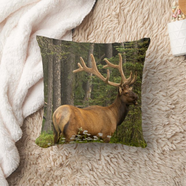 Bull Elk in Velvet, Kanada Kissen (Decke)