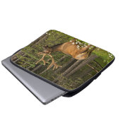 Bull Elk in Velvet, Kanada Laptopschutzhülle (Vorne Knopf)
