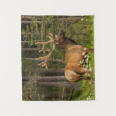 Bull Elk in Velvet, Kanada Wandteppich (Vorderseite)