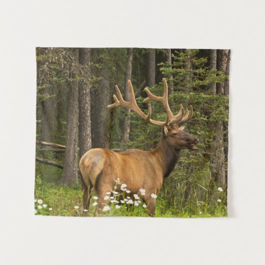 Bull Elk in Velvet, Kanada Wandteppich (Vorderseite (Horizontal))