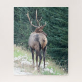 Bull Elk Jigsaw Puzzle (Vertikal)