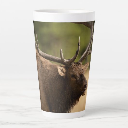 Bull Elk Latte Tasse (Vorderseite)