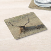 Bull Elk Lay in Gras Rechteckiger Pappuntersetzer (angewinkelt)