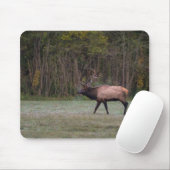 Bull Elk Morning Walk Mousepad (Mit Mouse)