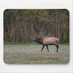 Bull Elk Morning Walk Mousepad