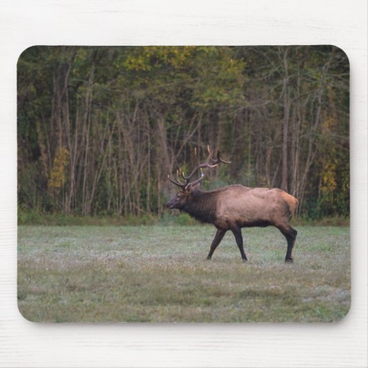 Bull Elk Morning Walk Mousepad (Vorne)