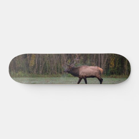 Bull Elk Morning Walk Skateboard (Horizontal)