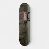 Bull Elk Morning Walk Skateboard (Vorne)