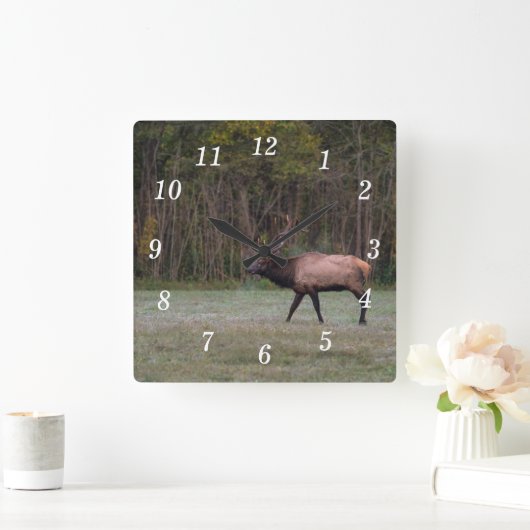 Bull Elk Morning Walning Wall Uhr (Zuhause)