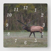 Bull Elk Morning Walning Wall Uhr (Vorderseite)