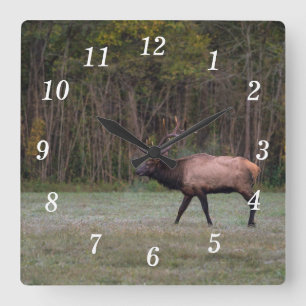 Bull Elk Morning Walning Wall Uhr
