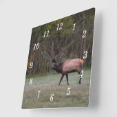 Bull Elk Morning Walning Wall Uhr (Winkel)