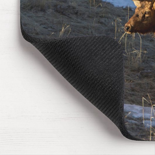 Bull Elk Mousepad (Ecke)